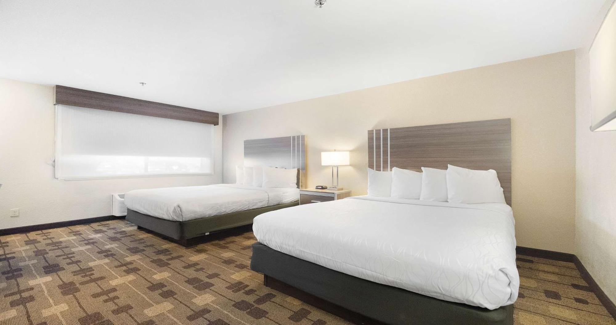 Best Western Amador Inn Jackson Buitenkant foto