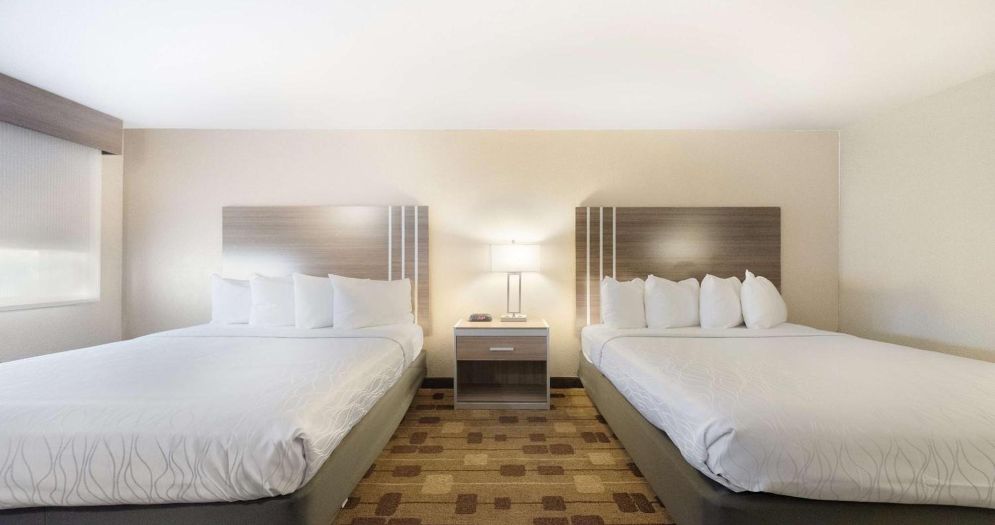 Best Western Amador Inn Jackson Buitenkant foto