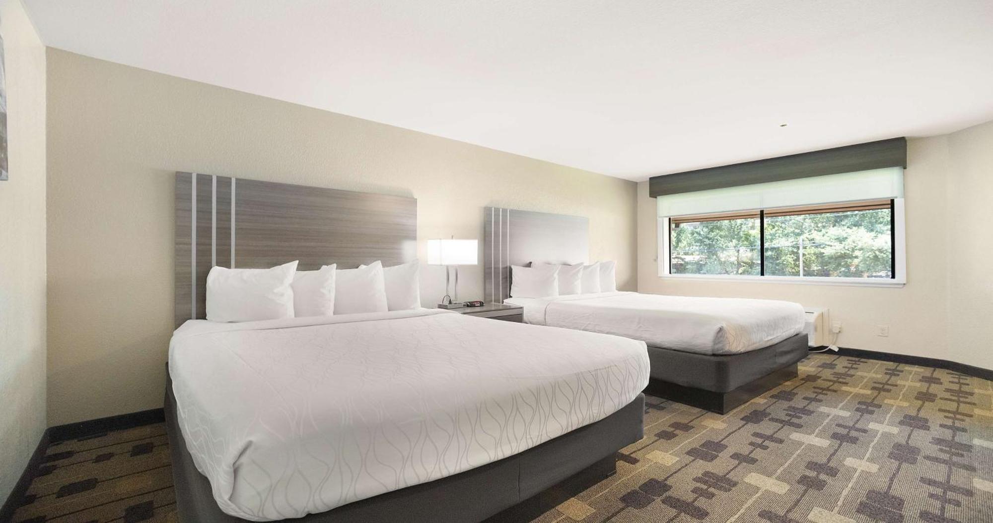 Best Western Amador Inn Jackson Buitenkant foto